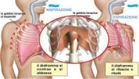 Palpitazioni, nodo alla gola, stomaco chiuso? Cosa si intende per nervo vago infiammato, quando sentire il medico e 4 pratiche di respiro per calmarlo.